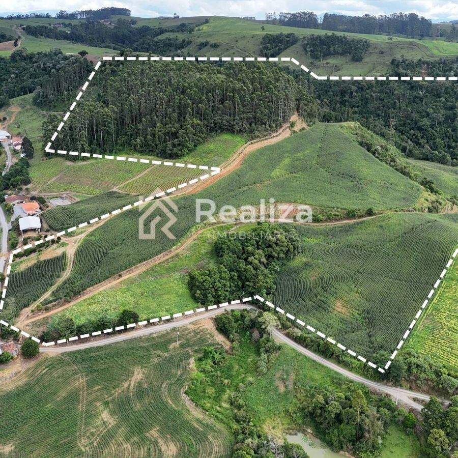 TERRENO À VENDA NA LOCALIDADE DE CURTICEIRA, VIDAL RAMOS - 3