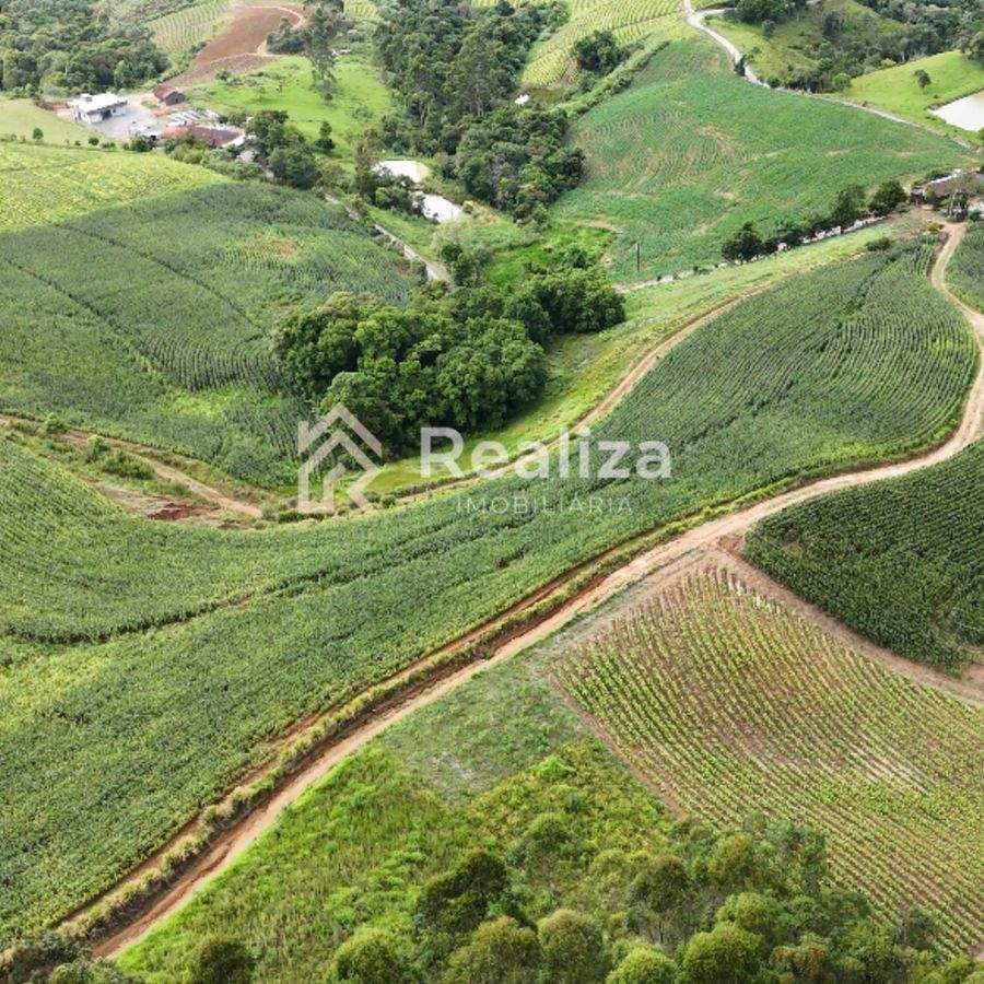 TERRENO À VENDA NA LOCALIDADE DE CURTICEIRA, VIDAL RAMOS - 4