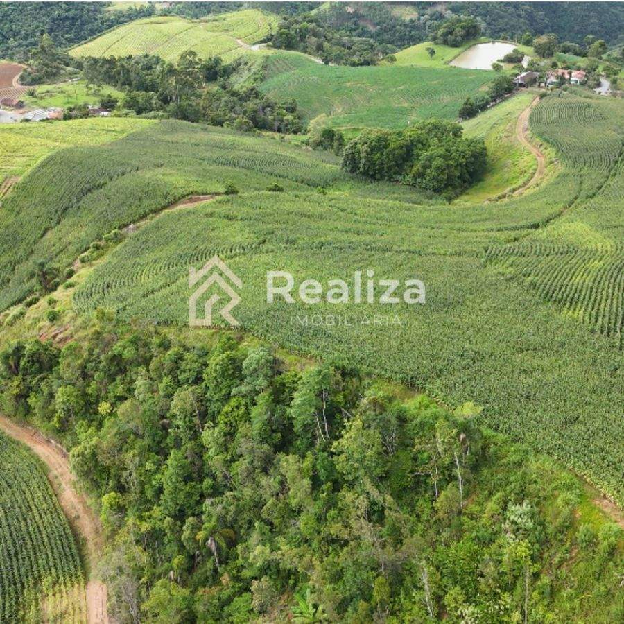 TERRENO À VENDA NA LOCALIDADE DE CURTICEIRA, VIDAL RAMOS - 5