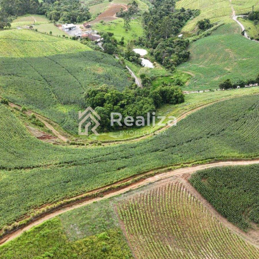 TERRENO À VENDA NA LOCALIDADE DE CURTICEIRA, VIDAL RAMOS - 6