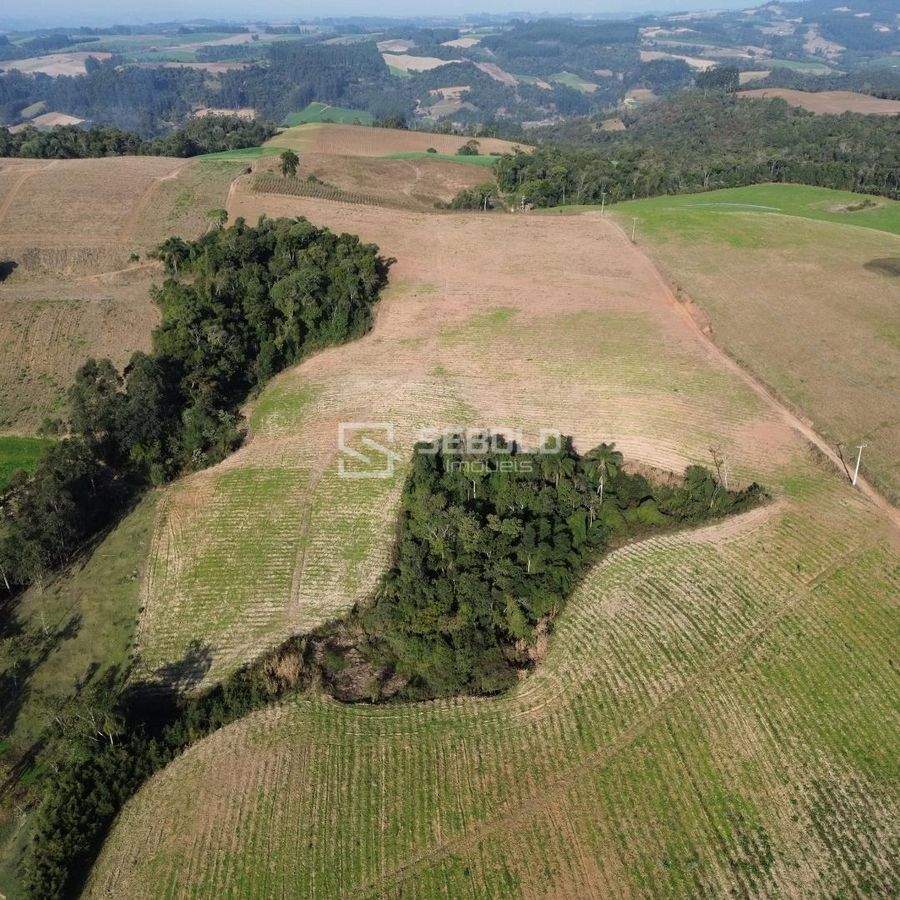 Terreno Rural no Bairro Londrina - Petrolândia - 5