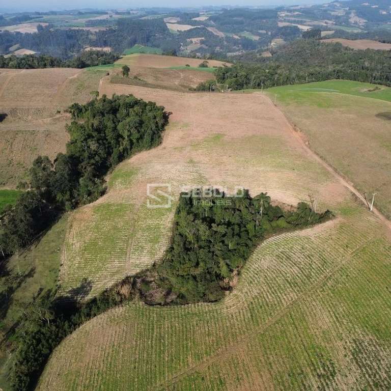 Terreno Rural no Bairro Londrina - Petrolândia - 5